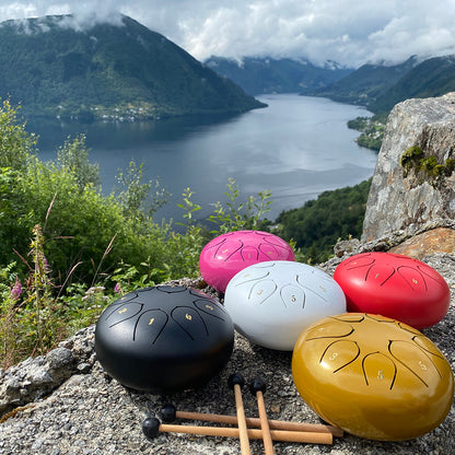 Instrument ZENFREQ® • Mini