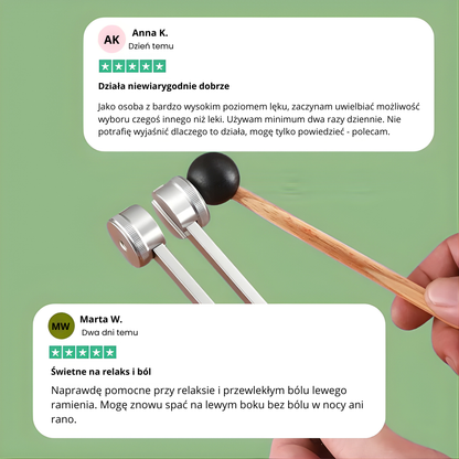 Zestaw Kamertonów Leczniczych Harmonia