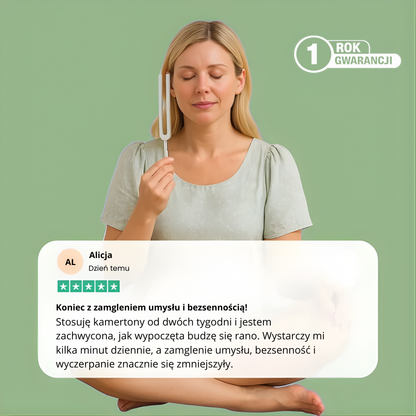 Zestaw Kamertonów Leczniczych Harmonia